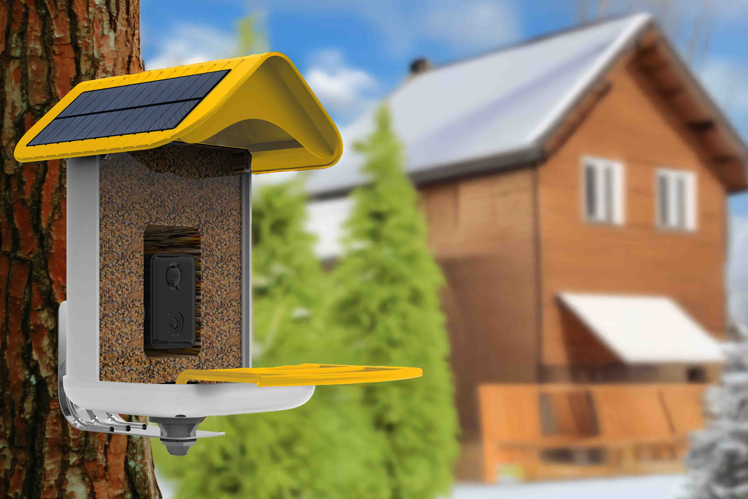 Feeding Birds in Winter: How to Prepare Your Bird Feeder for the Cold