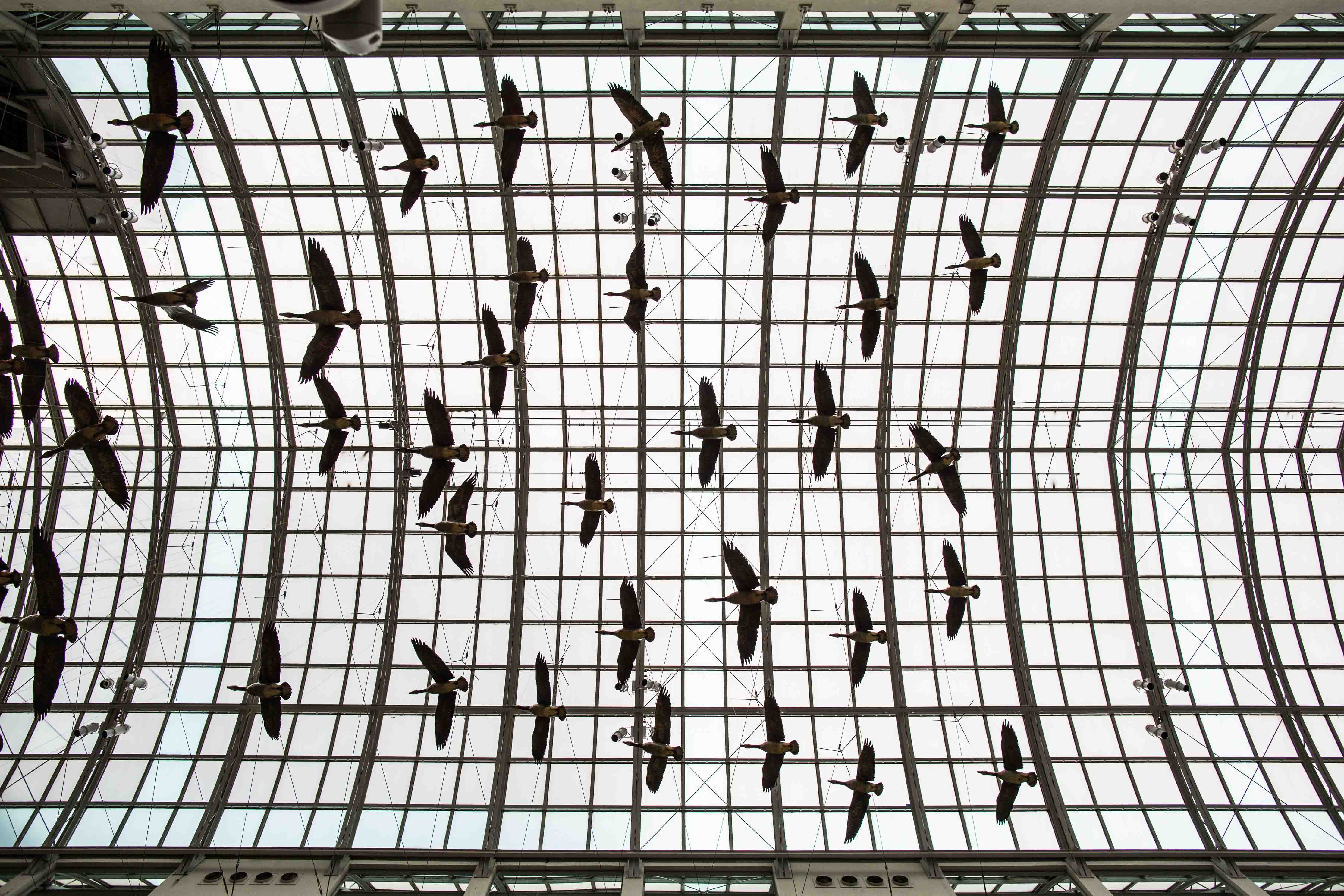 Why Smart Birdwatching Is the Perfect Low-Stress Holiday Hobby