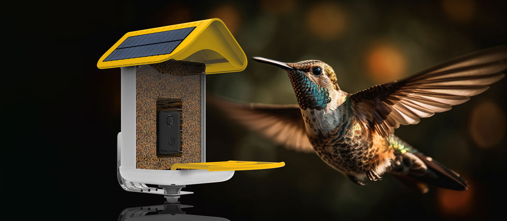 How a Hummingbird Smart Feeder Brings Nature to Your Backyard