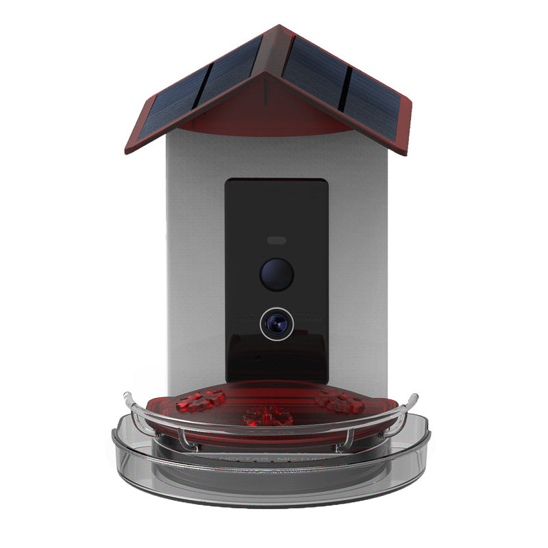 Bird feeder with solar panel on a white background