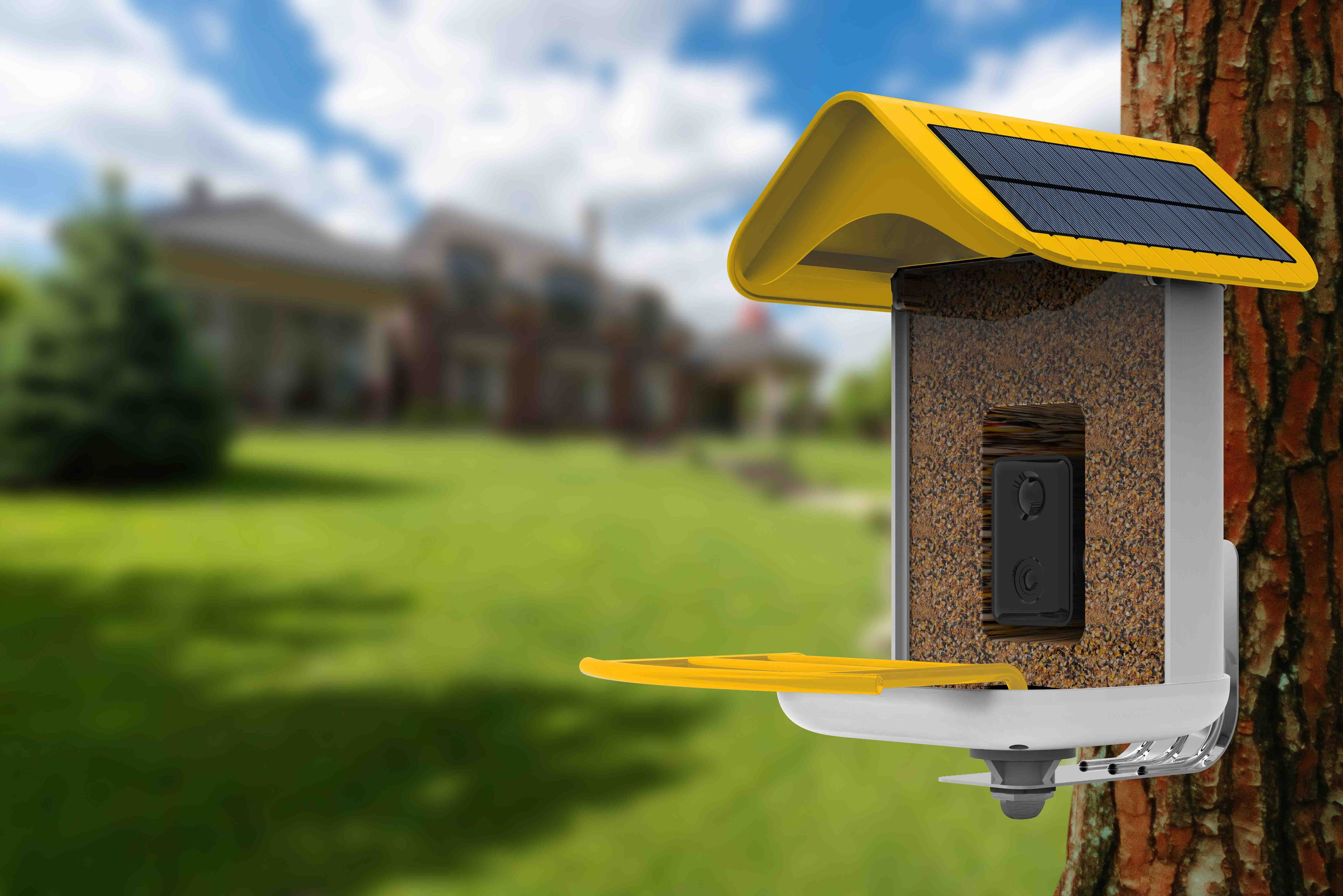 Solar-powered bird feeder attached to a tree with a blurred house and garden in the background