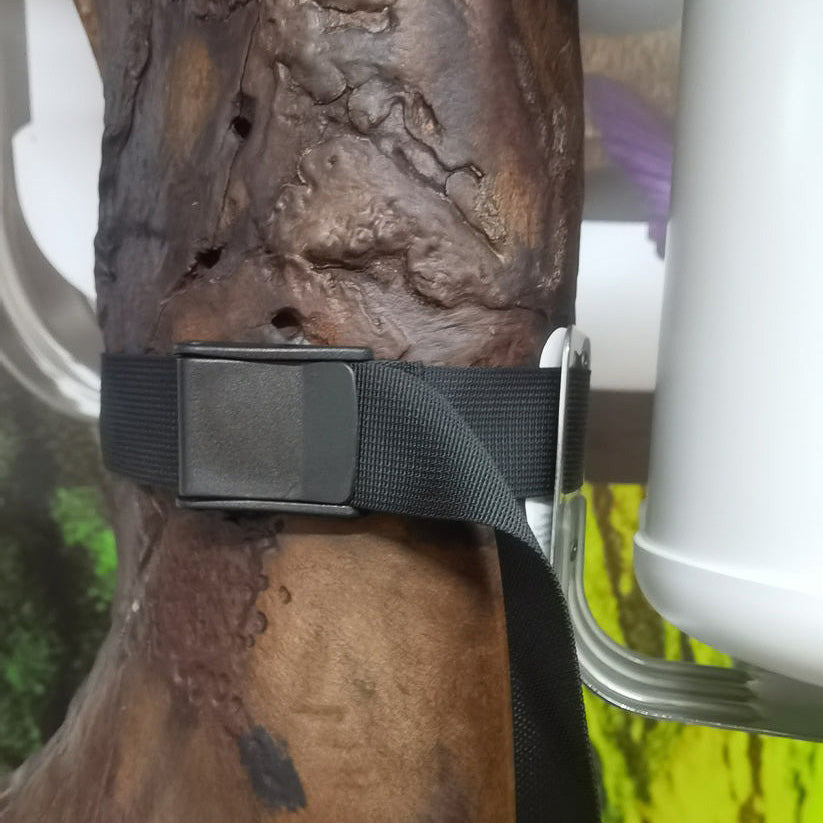 A bracket for a smart bird feeder is being held to a tree with a black belt with a black clasp