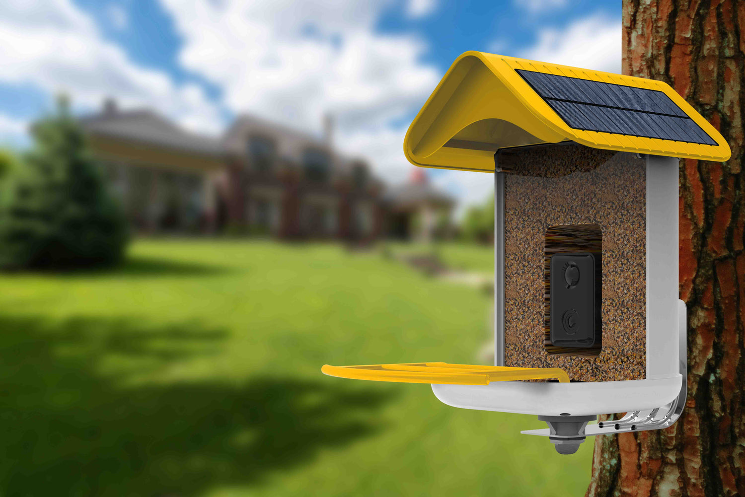 Why Every Birder Needs a WiFi Bird Feeder in Their Backyard