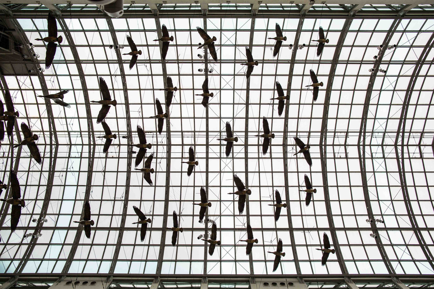 Why Smart Birdwatching Is the Perfect Low-Stress Holiday Hobby