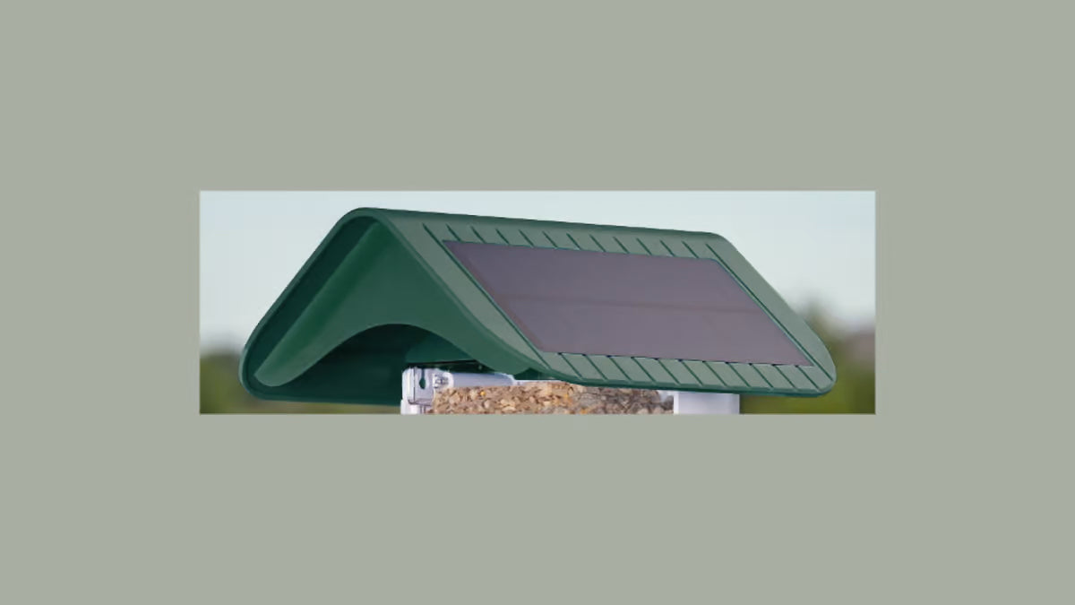 Green roof with solar panels against blurry sky backdrop 